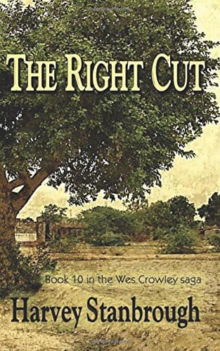 Tapa de The Right Cut