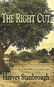Tapa de The Right Cut