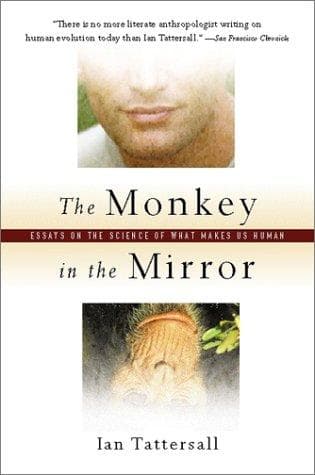 Tapa de The Monkey in the Mirror
