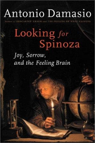 Tapa de Looking for Spinoza