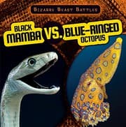 Tapa de Black Mamba Vs. Blue-ringed Octopus