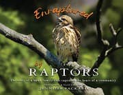 Tapa de Enraptured by Raptors