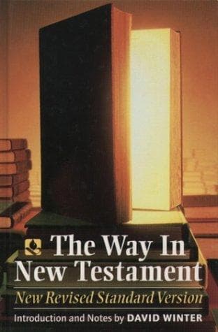 Tapa de The Way In New Testament