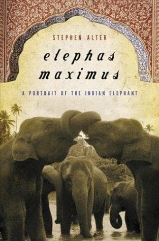 Tapa de Elephas Maximus