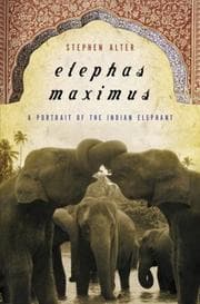 Tapa de Elephas Maximus