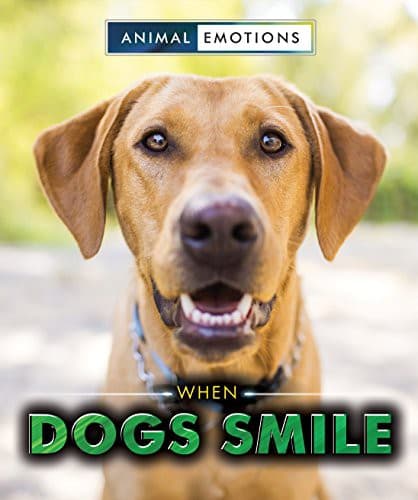 Tapa de When Dogs Smile