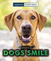 Tapa de When Dogs Smile