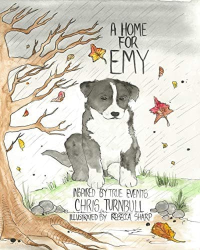 Tapa de A Home For Emy