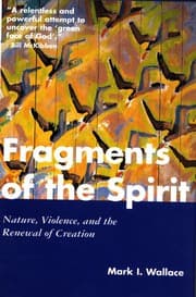 Tapa de Fragments of the Spirit