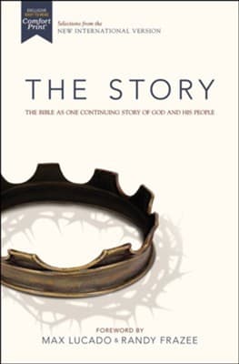 Tapa de NIV The Story