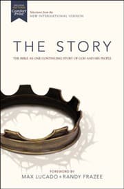 Tapa de NIV The Story