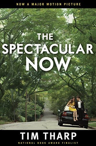 Tapa de The Spectacular Now