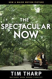 Tapa de The Spectacular Now