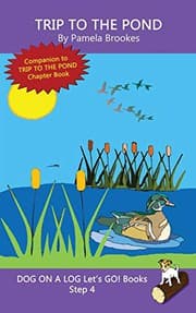 Tapa de Trip To The Pond