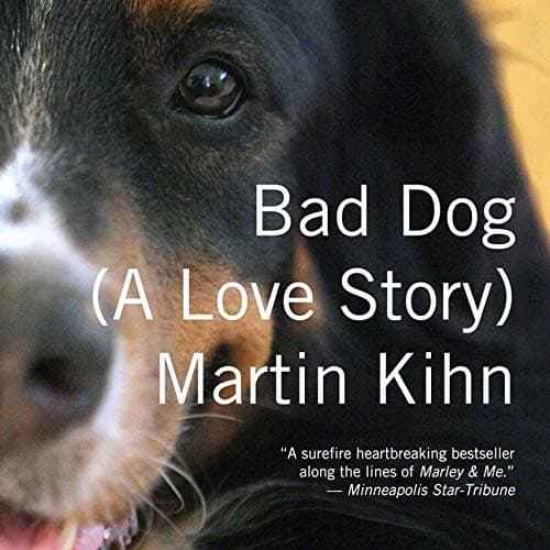 Tapa de Bad Dog Lib/E