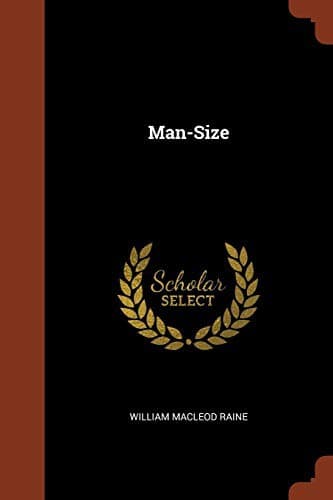 Tapa de Man-Size