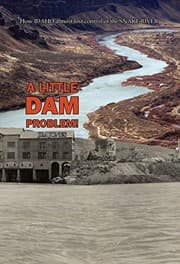 Tapa de A Little Dam Problem