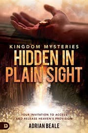 Tapa de Kingdom Mysteries : Hidden in Plain Sight