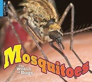 Tapa de Mosquitoes