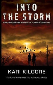 Tapa de Into the Storm