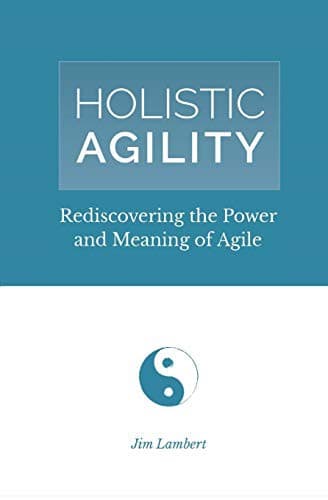 Tapa de Holistic Agility