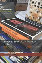 Tapa de 500 plus Book List. Africans In History