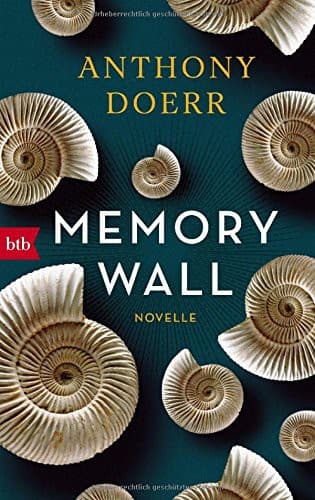 Tapa de Memory Wall