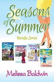 Tapa de Seasons of Summer Novella Series