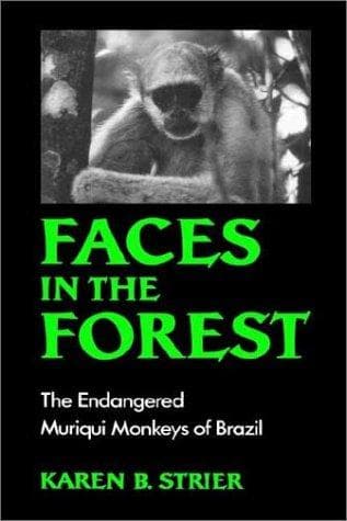 Tapa de Faces in the forest