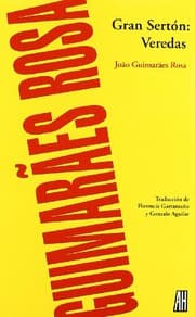 Tapa de Gran Sertón