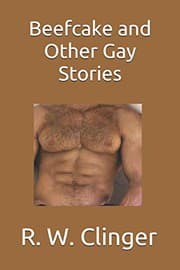 Tapa de Beefcake and Other Gay Stories