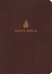 Tapa de RVR 1960 Biblia Letra Súper Gigante marrón, piel fabricada con índice