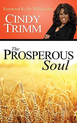 Tapa de The Properous Soul