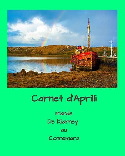 Tapa de Carnet d'Aprilli