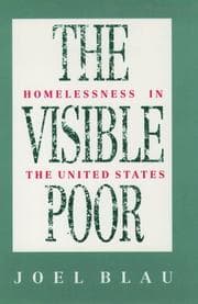 Tapa de The visible poor