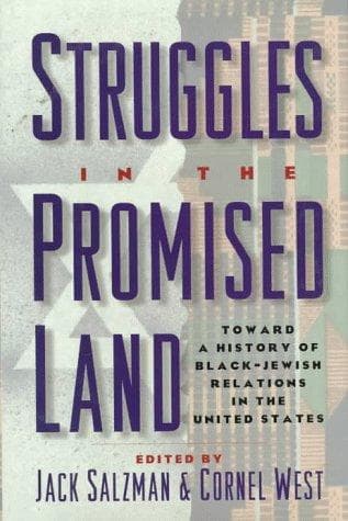 Tapa de Struggles in the promised land