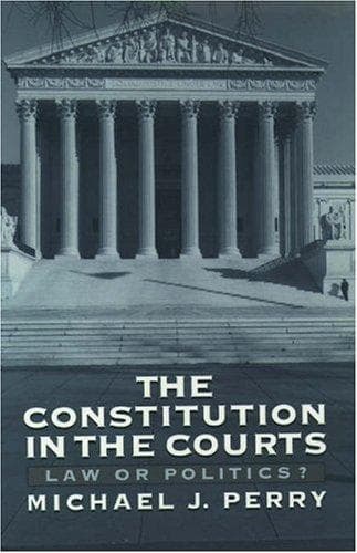 Tapa de The Constitution in the courts