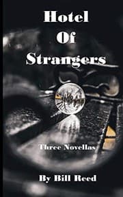 Tapa de Hotel of Strangers