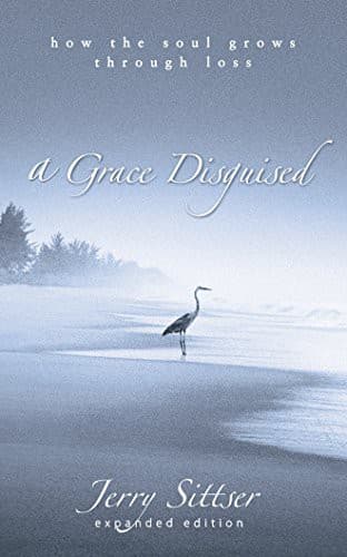 Tapa de A Grace Disguised
