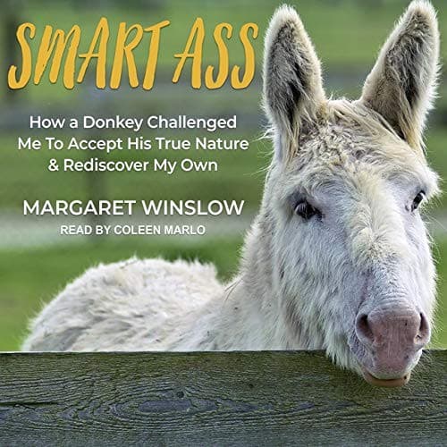 Tapa de Smart Ass