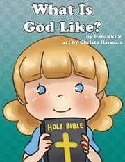 Tapa de What is God Like?