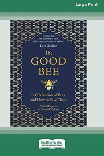 Tapa de Good Bee