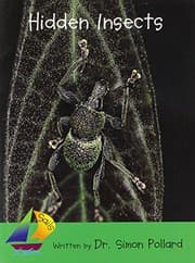 Tapa de Hidden Insects