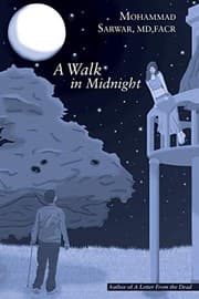 Tapa de A Walk in Midnight