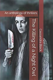 Tapa de The Killing of a Night Owl