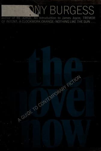 Tapa de The Novel Now