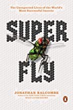 Tapa de Super Fly