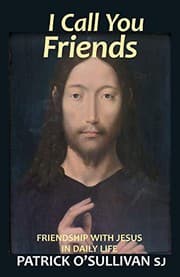 Tapa de I Call You Friends