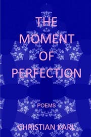 Tapa de The Moment of Perfection