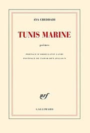 Tapa de Tunis marine